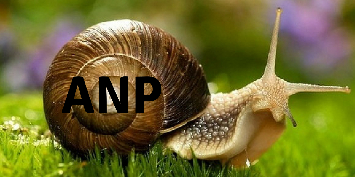 La MAI incep angajarile. La ANP cand incep?