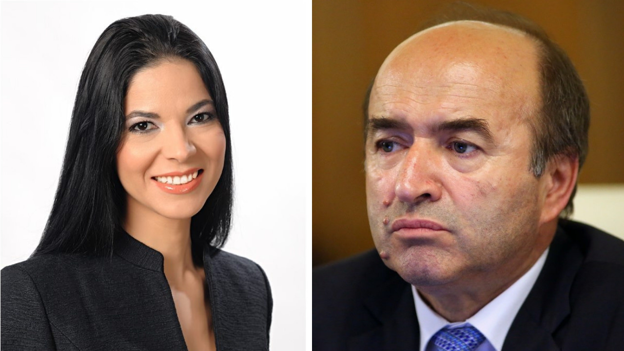 Regretul Anei Birchall este incompetenta lui Tudorel Toader